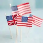 custom toothpick flags for food