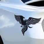 Car Decal Stickers (2)